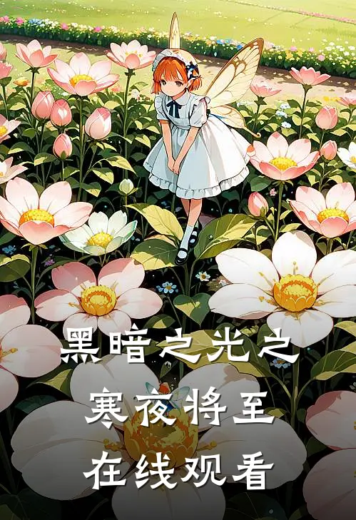 黑暗之光之寒夜将至在线观看