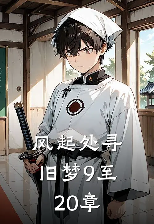 风起处寻旧梦9至20章