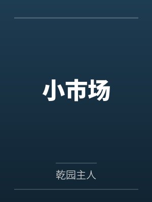 小市场by乾园主人